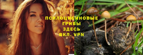 мдпв Болхов