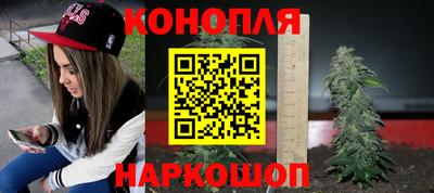 гидропоника Ипатово