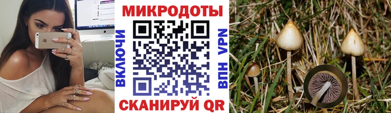 Галлюциногенные грибы мухоморы  Миллерово 