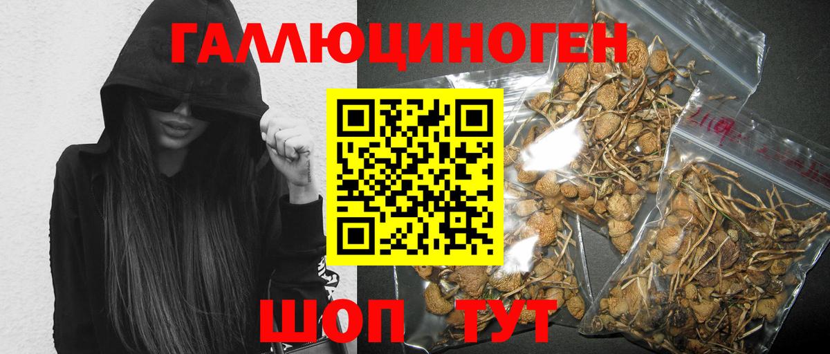 Миллерово  Псилоцибиновые грибы Psilocybe  Галлюциногенные грибы MAGIC MUSHROOMS  Вход с VPN 