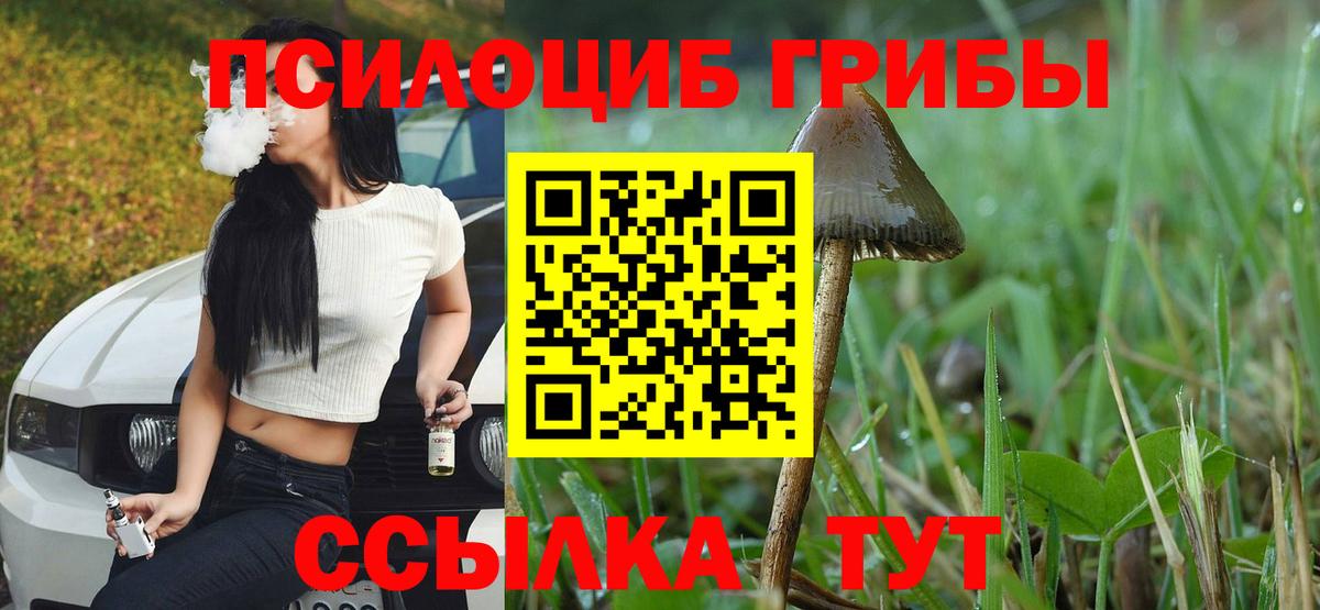 Галлюциногенные грибы GOLDEN TEACHER Миллерово